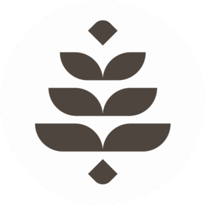 baldora logo favicon
